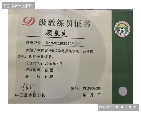 中国足球青训体系发展现状与未来改革路径深度研究报告