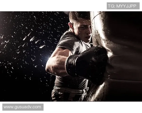 体能训练全流程揭秘 从热身到恢复全面解析打造强健体魄